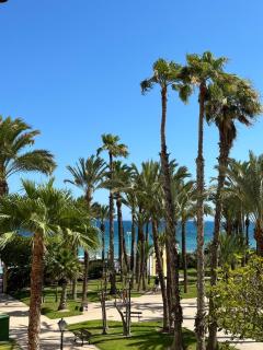 El Palmeral Vistas, Sea view, pool seasonal 15 june-15 sept - Torrevieja - 0