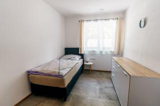 Danner Appartements - Wolfsegg am Hausruck - 3