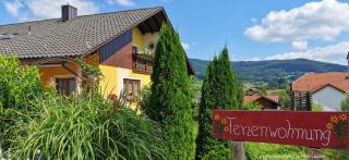 Komfortable Ferienwohnung Mit Garten Und Grill - Gleißenberg - 7