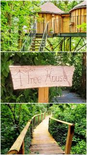 Treehouse In Devon - Beaworthy - 0