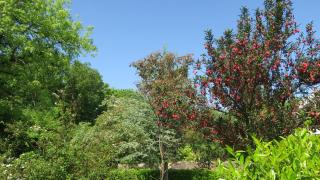 The Old Cowshed - Swallows Cottage - Pembroke - 8