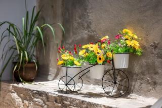 Authentic Stone House in Limnatis, Cozy Patio, Full Kitchen - - 6