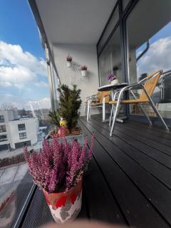 Apartamenty pod Dębowcem Apartament 44 Rowerek - Bielsko-Biała - 4