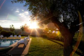 Il Giuggiolo - holiday homes - 2