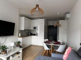 Apartamenty pod Dębowcem Apartament 44 Rowerek - Bielsko-Biała - 9