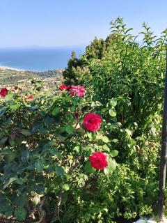 Aloni - Double room with panoramic sea view - Ratzaklíon - 4