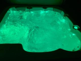 Maison détente avec jacuzzi spa massant - Nogent-sur-Vernisson - 4