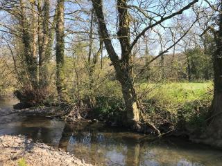 Mill View Cottage, Drummetts Mill Torrington Devon - Frithelstock - 2