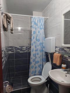 Vila Ramona Sokobanja - 6