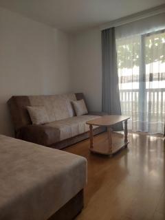 Vila Ramona Sokobanja - 3