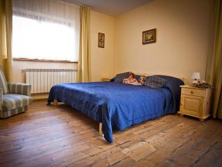 Villa Fiore Biały Dunajec - Biały Dunajec - 6