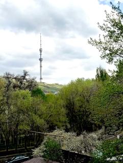 Cozy studio close to Dostyk Plaza - Almaty - 3