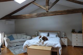 Jasmin Cottage - Gouex - 5