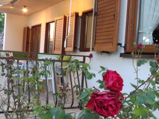 Apartment Vilma - Poreč - 9