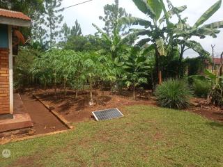 Andy's home stay Masindi - Masindi - 8