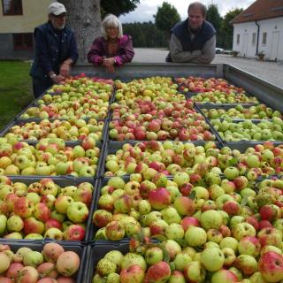 Mallas Stenstugu B&B - Visby - 4