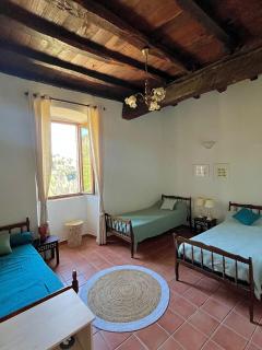 Maison de village atypique - San-Giovanni-di-Moriani - 8