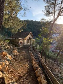 Atypical forest house with jacuzzi - 7
