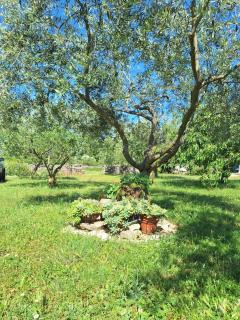 Apartman Lancun - Pridraga - 7