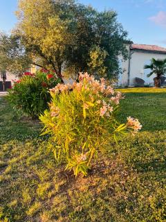 Luxury home private duras - Duras - 8