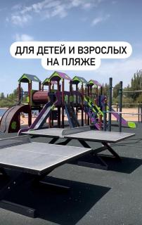 Чайка Иссык-Куль - Chon-Sary-Oy - 7