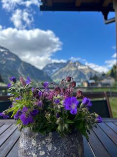 Ahorn Chalet Mittelberg - Mittelberg - 7