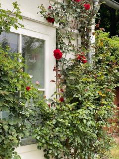 Das Garden House - Hohensee Erdgeschoss - 7