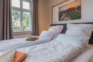 Ferienwohnung im Herzen von Königstein - Königstein - 3