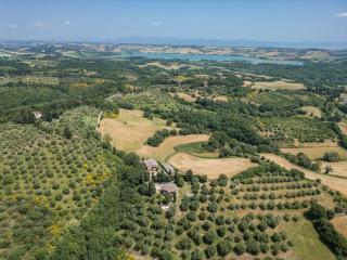 Montebello degli Olivi - Chiusi - 7