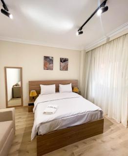 Settle Inn Banafseg Apartments - 5