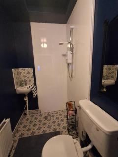 The Olde Farmhouse - Wexford - 9