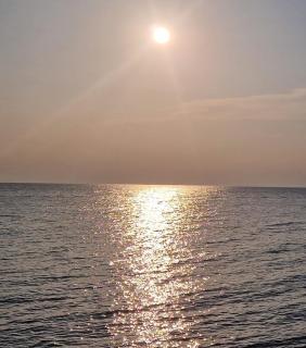 Studio Apartman Mario - 0