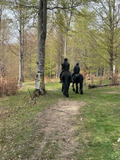 Velvet & Vanilla House la Vama Aniral - 1