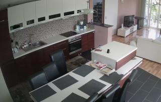 Villa javore - 3