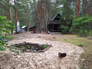 Wilga - klimatyczny domek z 2 tarasami - - 9