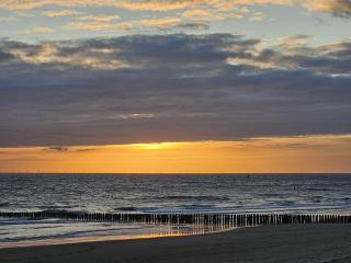Strandhuisje Dishoek - Ons Belang - 3