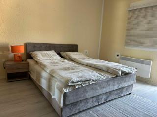 Guest House Vila Aleksa - Bogutovac - 1