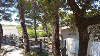 Residence GambAleotto - 3