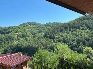 Guest House Vila Aleksa - Bogutovac - 5