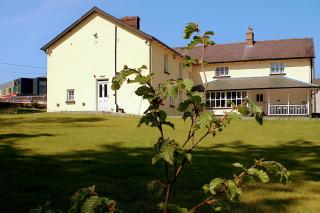 The Monkey Puzzle - Bunclody - 6