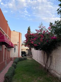 Riad de luxe à safi - Safi - 4