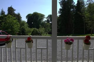 The Monkey Puzzle - Bunclody - 4