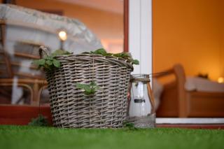 Gyula Wellness Villa - Gyula - 8