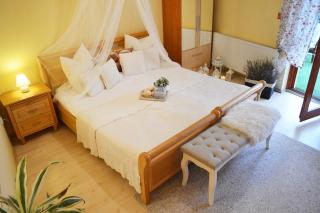 Gyula Wellness Villa - Gyula - 2