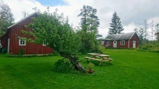 Örrud Örsgärde - Herräng - 5