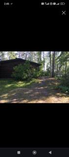 Cottage for 4people with private beach and sauna in Savitaipale - - 5