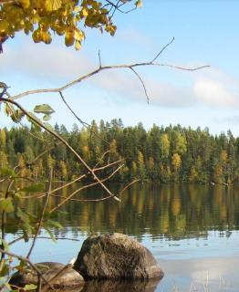 Cottage for 4people with private beach and sauna in Savitaipale - - 2