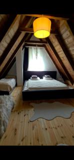 Stay Wild - Žabljak - 0