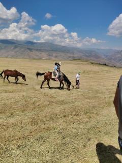 Hors - Hors - 0
