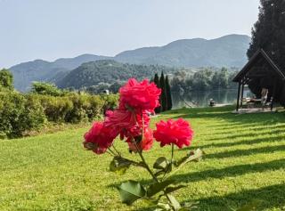 Kuća-Zvorničko jezero - 6